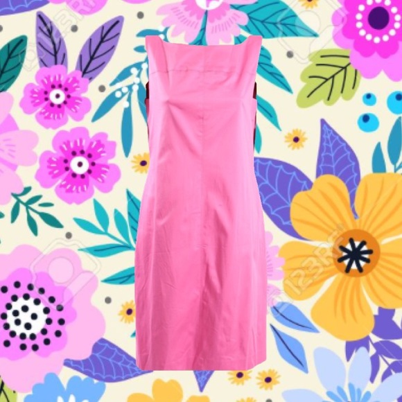 NWT Ralph Lauren Pink Shift Dress - Picture 1 of 1